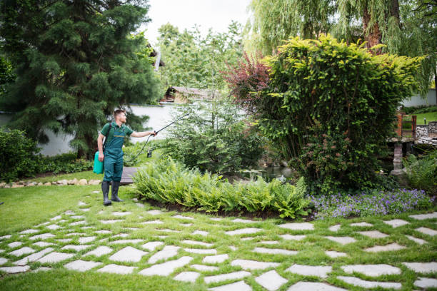 Best Mosquito Control Services  in Rmel Valley Village, CA