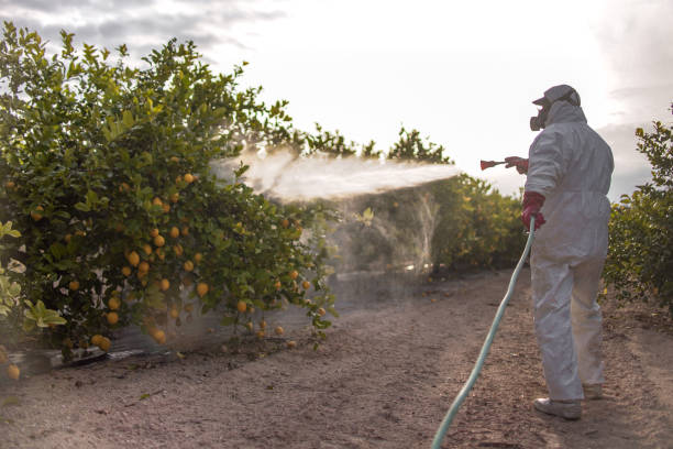Pest Control Cost in Carmel Valley Village, CA