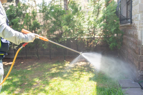 Professional Pest Control in Carmel Valley Village, CA